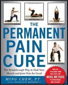 the permanent pain cure