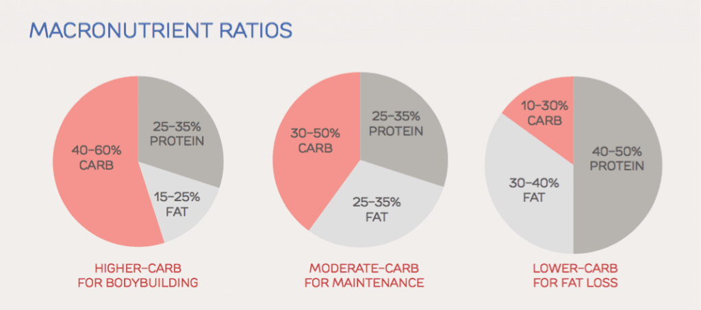 protein carbohydrate fat