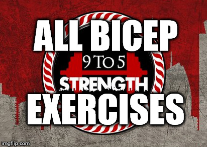 best bicep exercises bigger arms