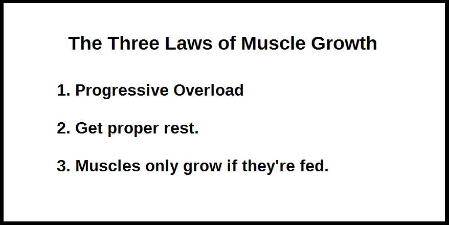 three laws muscle growth