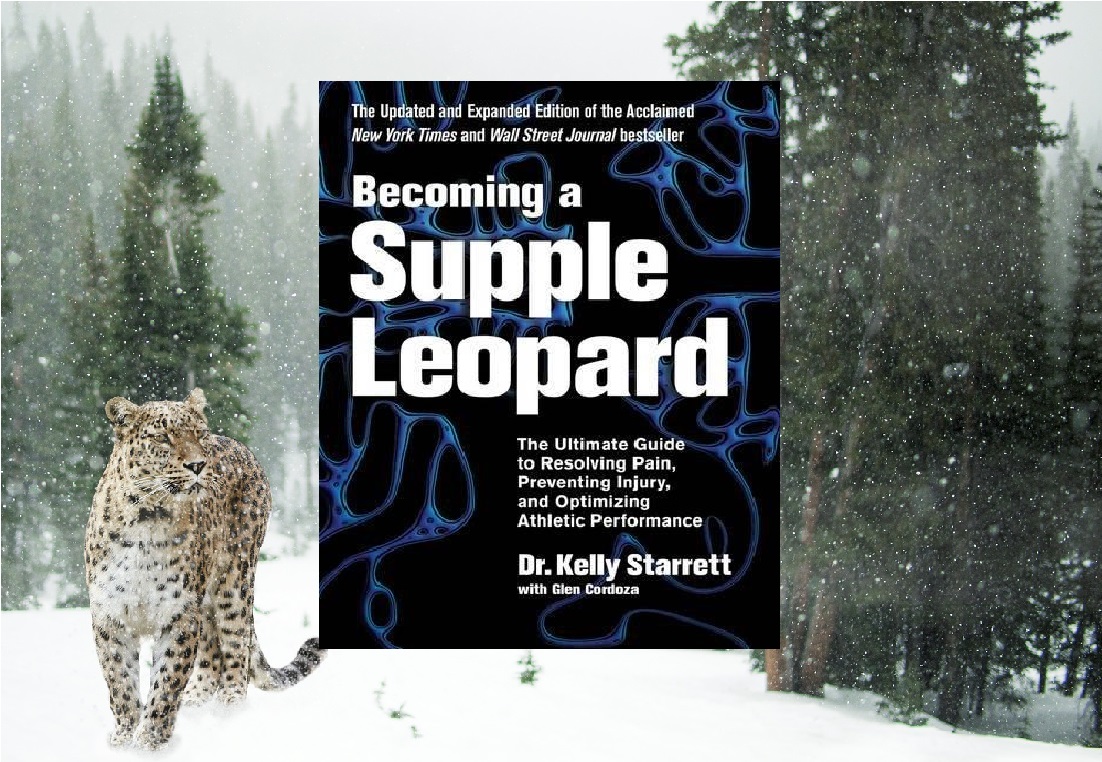 becoming supple leopard kelly starrett