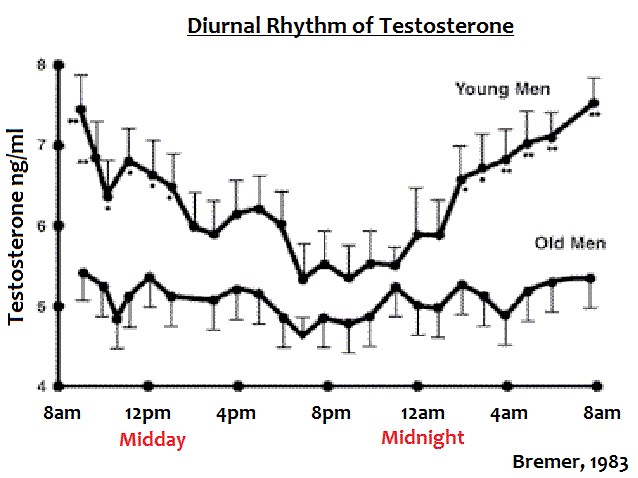 diurnal rhythm of testosterone variation across 24 hours one day