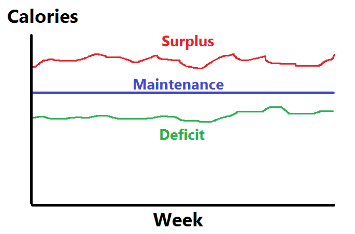 calorie deficit maintenance surplus graph