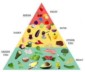 The Ketogenic Diet 