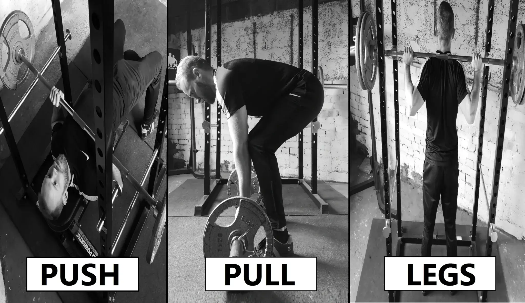 Push pull legs online workout program