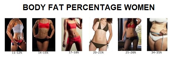 body fat percentage women chart