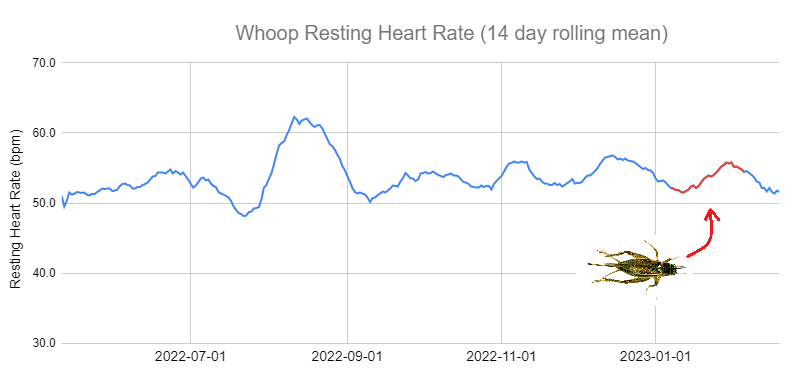 resting heart rate eating crickets whoop data
