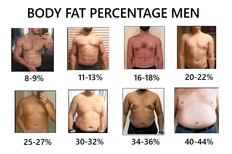 How To Measure Body Fat Percentage How To Measure Body Fat Percentage