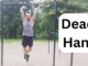 maximum dead hang for time grip endurance test